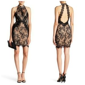Astr the label lace bodycon dress